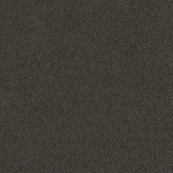 Mulberry Court Carpet Godfrey Hirst