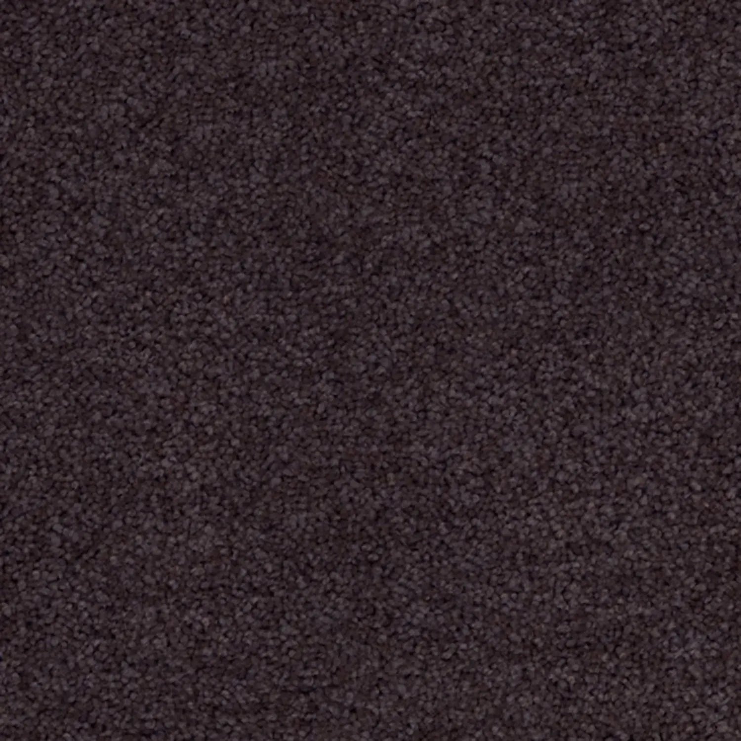 Superb Twist Carpet Godfrey Hirst