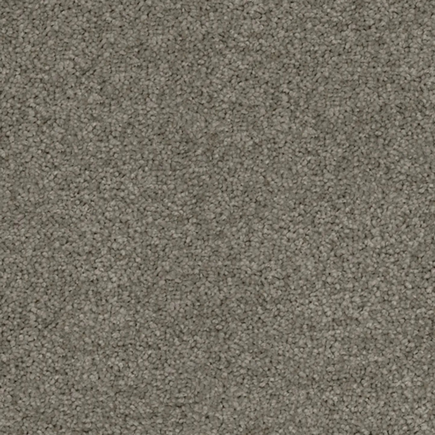 Superb Twist Carpet Godfrey Hirst