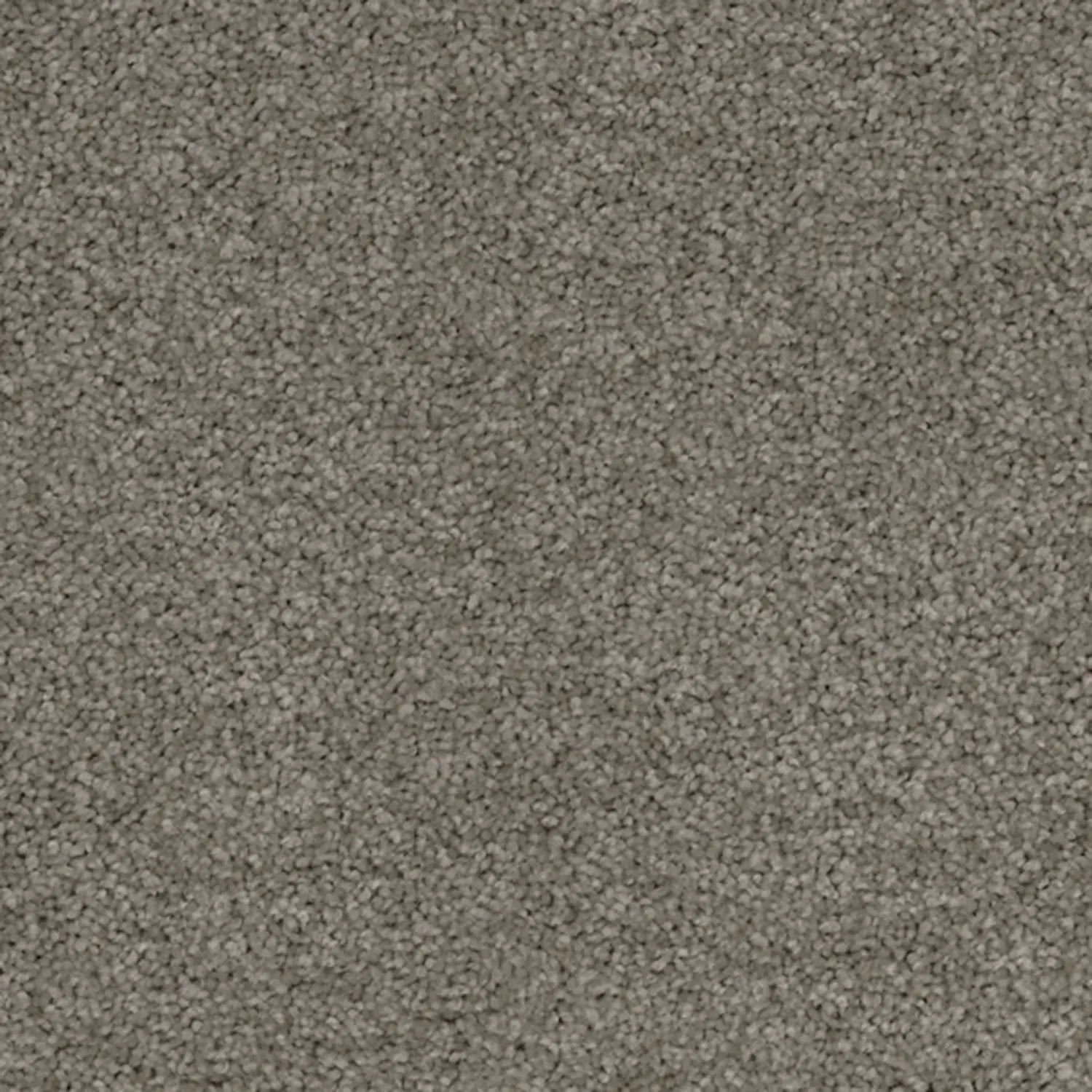 Superb Twist Carpet Godfrey Hirst