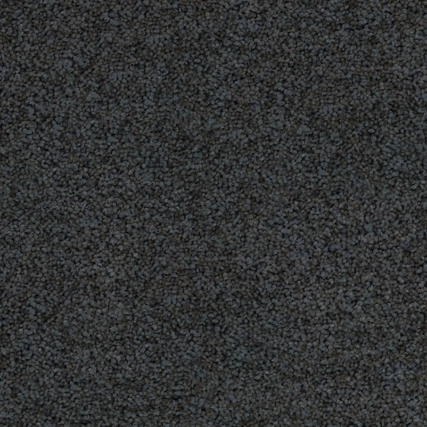 Superb Twist Carpet Godfrey Hirst