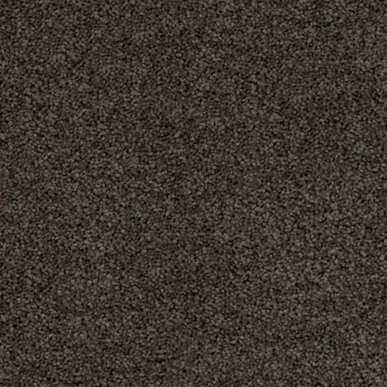 Superb Twist Carpet Godfrey Hirst
