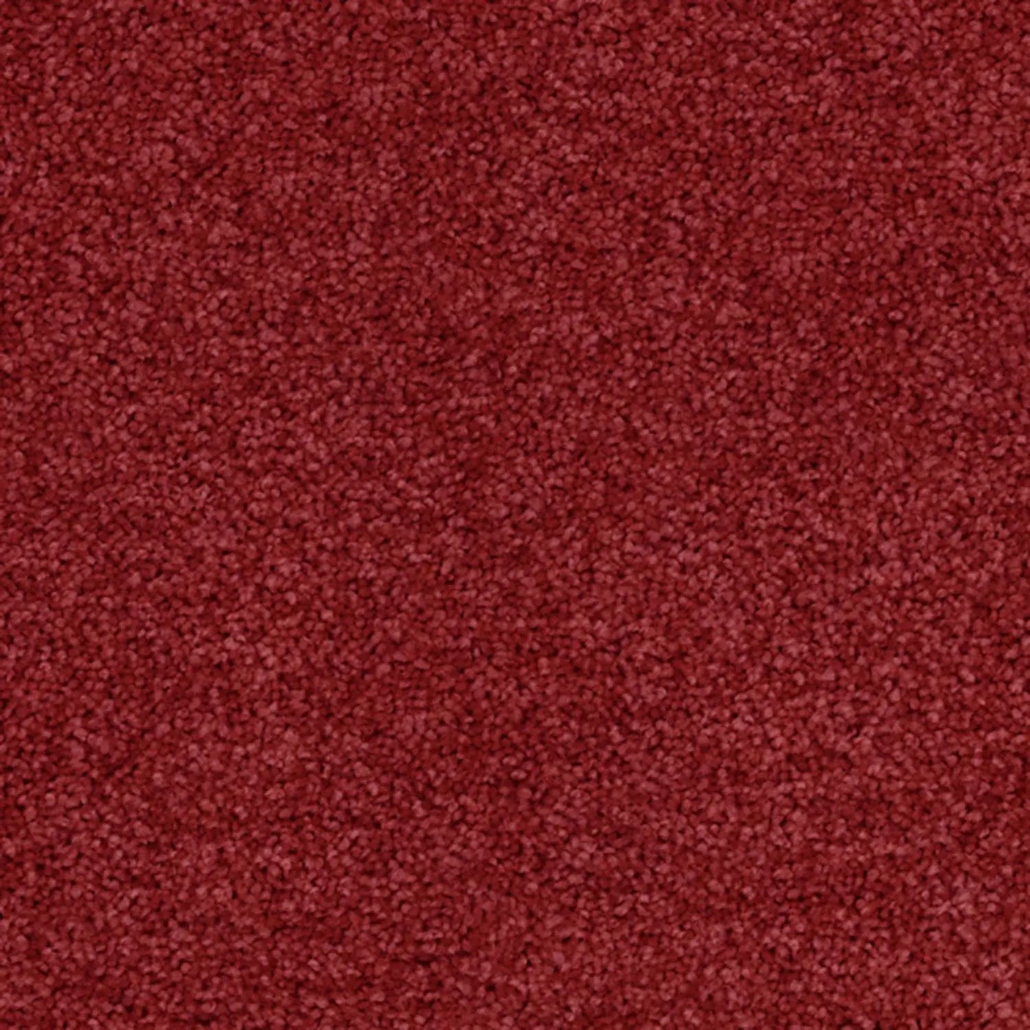 Superb Twist Carpet Godfrey Hirst