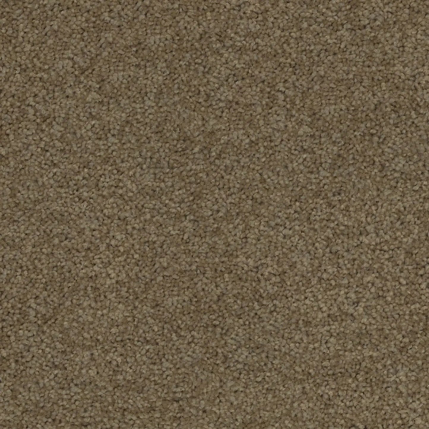 Superb Twist Carpet Godfrey Hirst