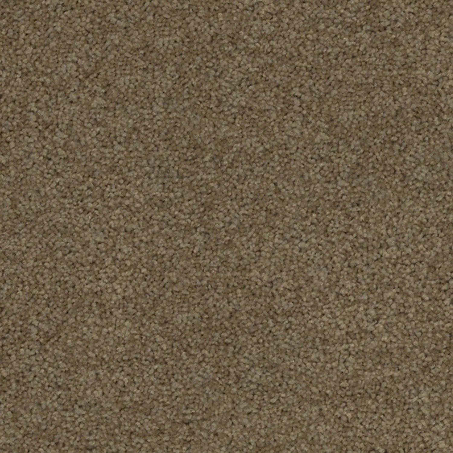 Superb Twist Carpet Godfrey Hirst