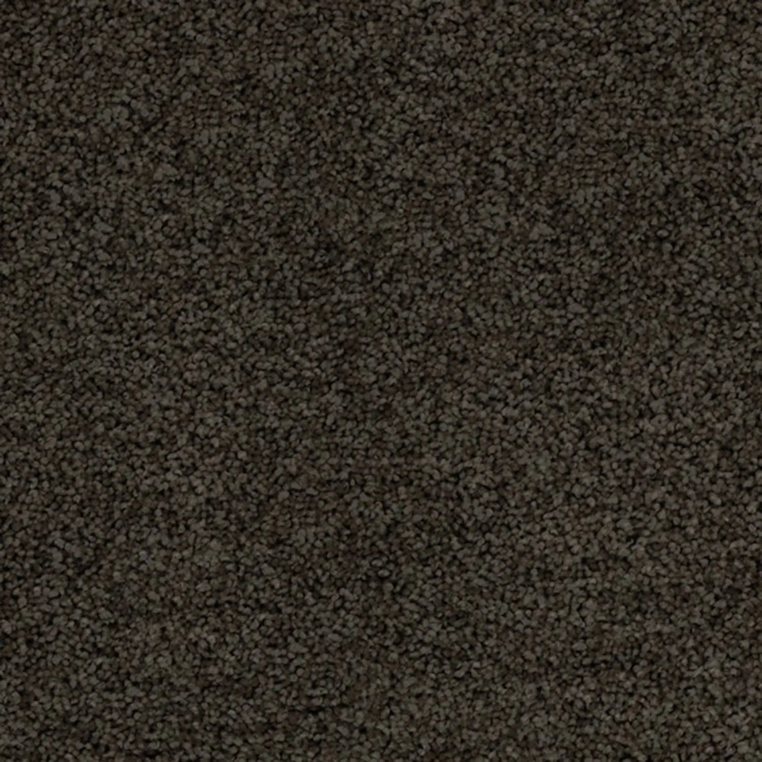 Superb Twist Carpet Godfrey Hirst