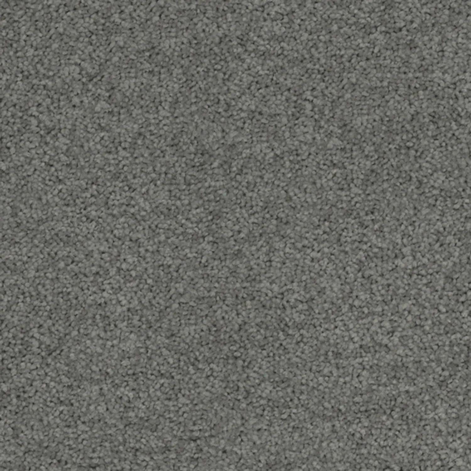Superb Twist Carpet Godfrey Hirst