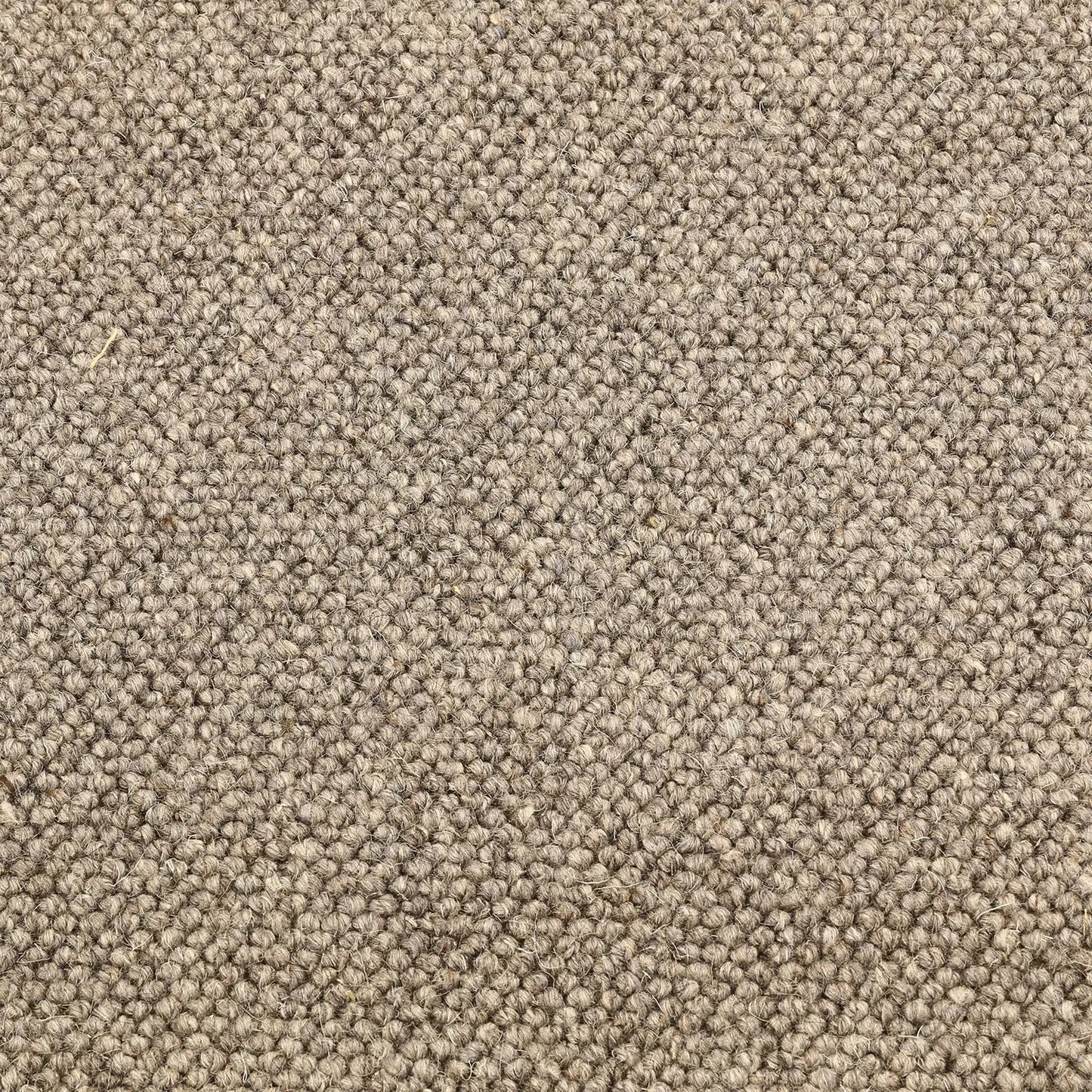 Venlo Wool Carpet Signature