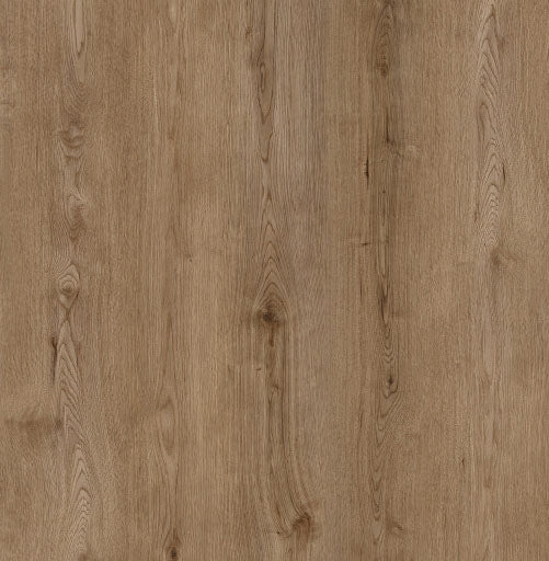 Alvera Coastal Spotted Gum Hybrid Alvera