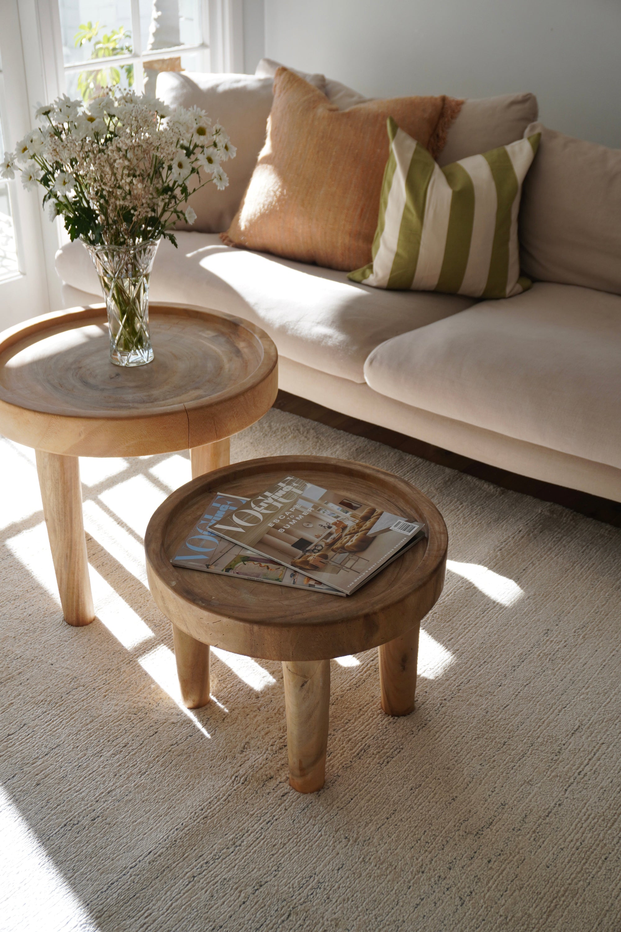 Loki Plain Beige Rug LTB2B