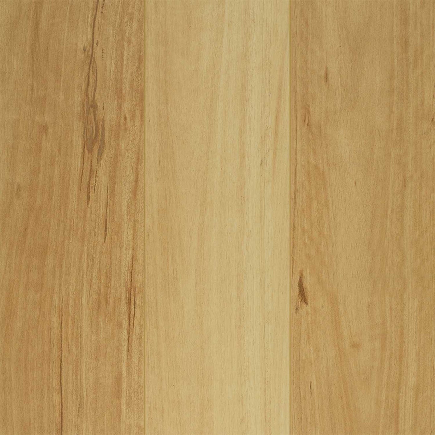 Lifestyle Blackbutt Laminate Flooring Australian Select Timbers