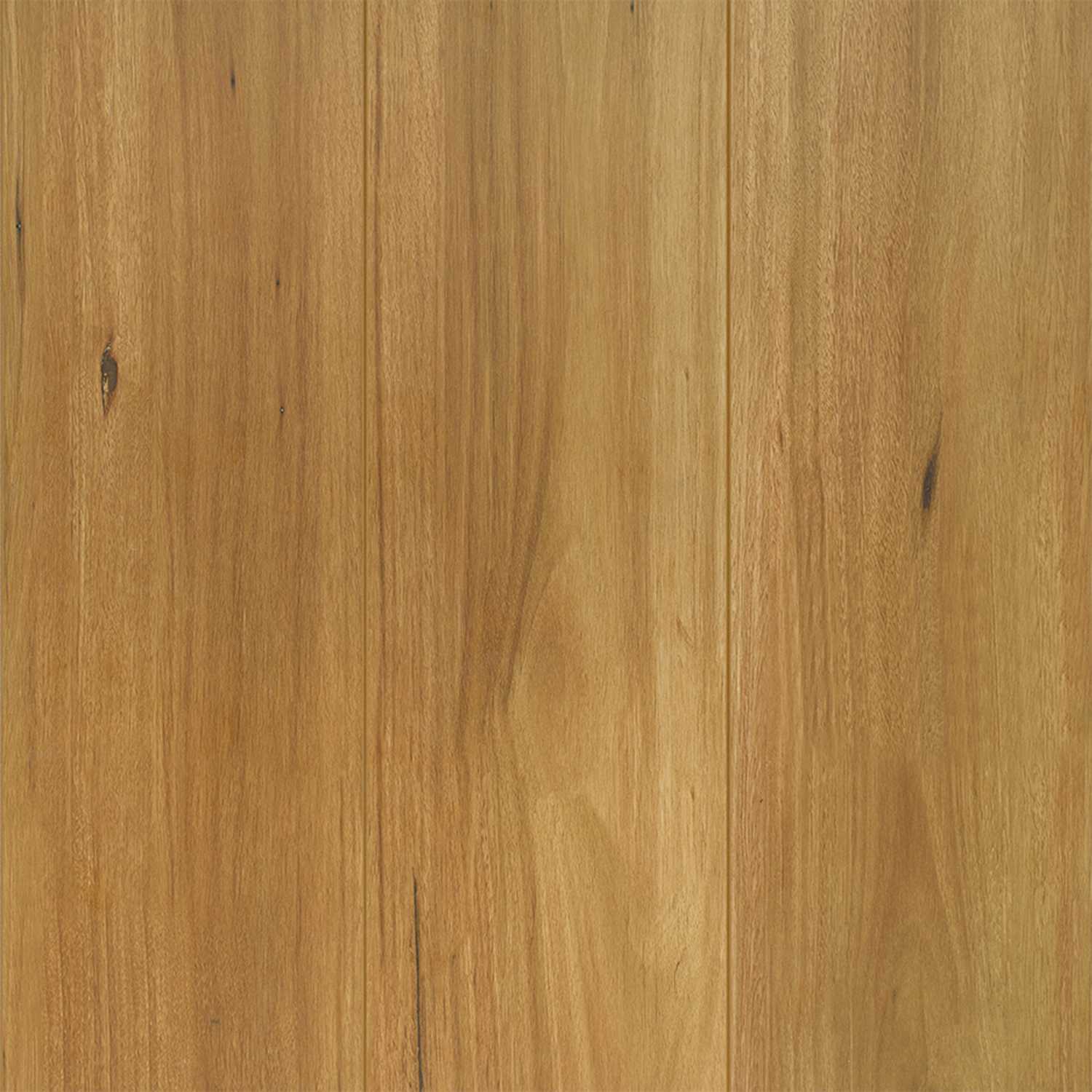 Lifestyle Spotted Gum Laminate Flooring Australian Select Timbers
