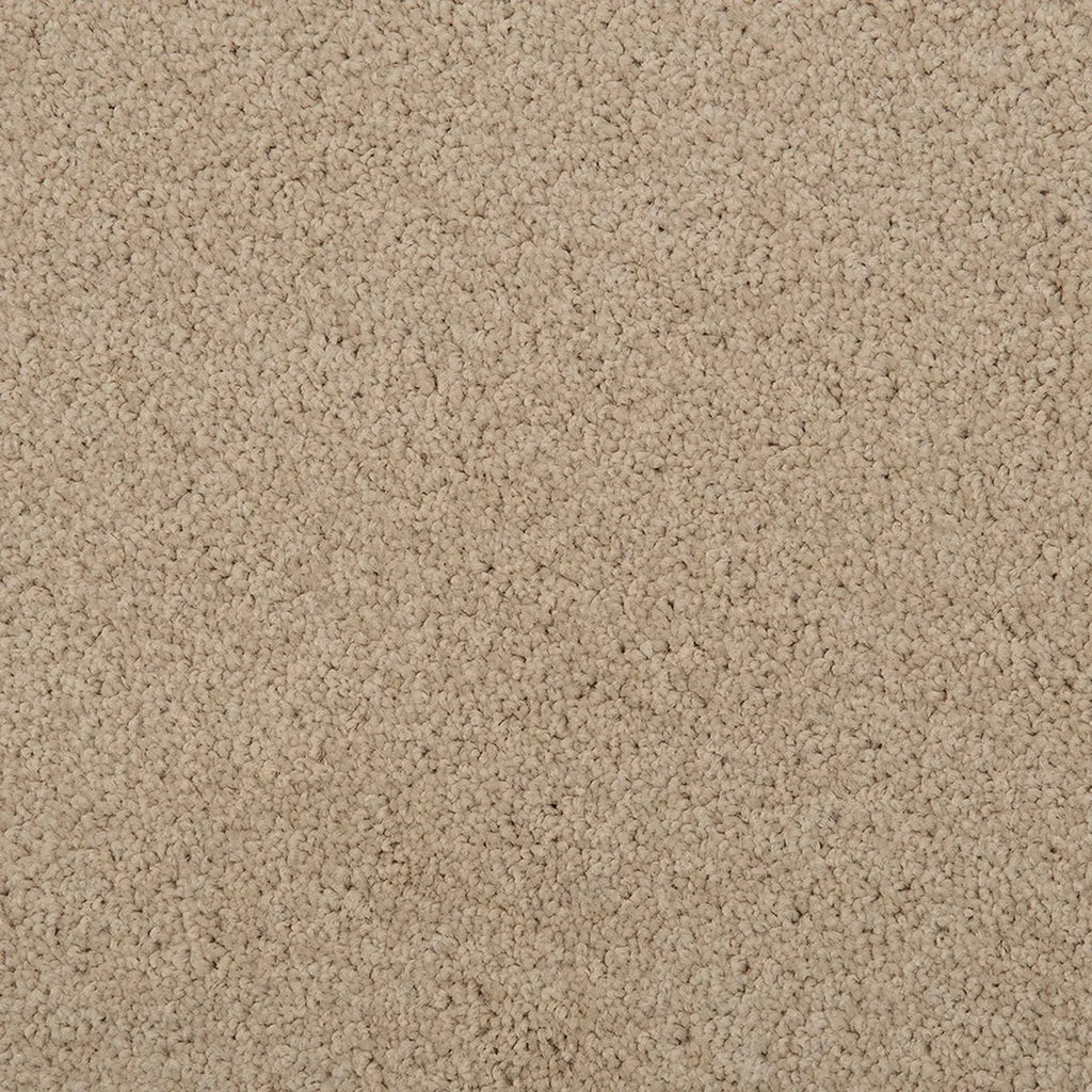 Point Peron Carpet Solution Dyed Polyester Carpet DecoRug