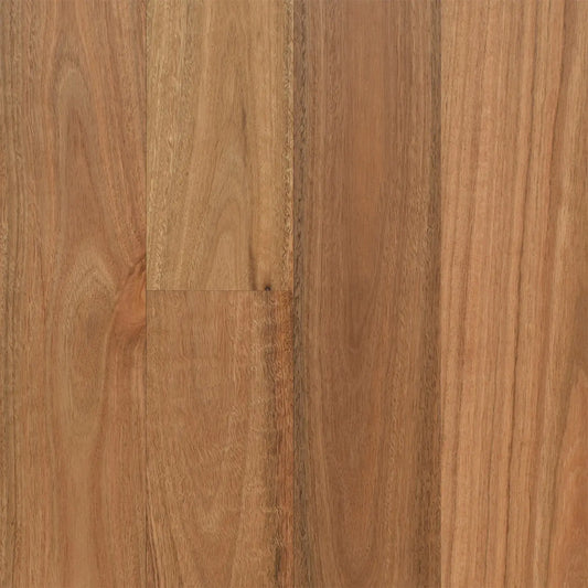 Spotted Gum Opulence Native Timber Flooring Australian Select Timbers