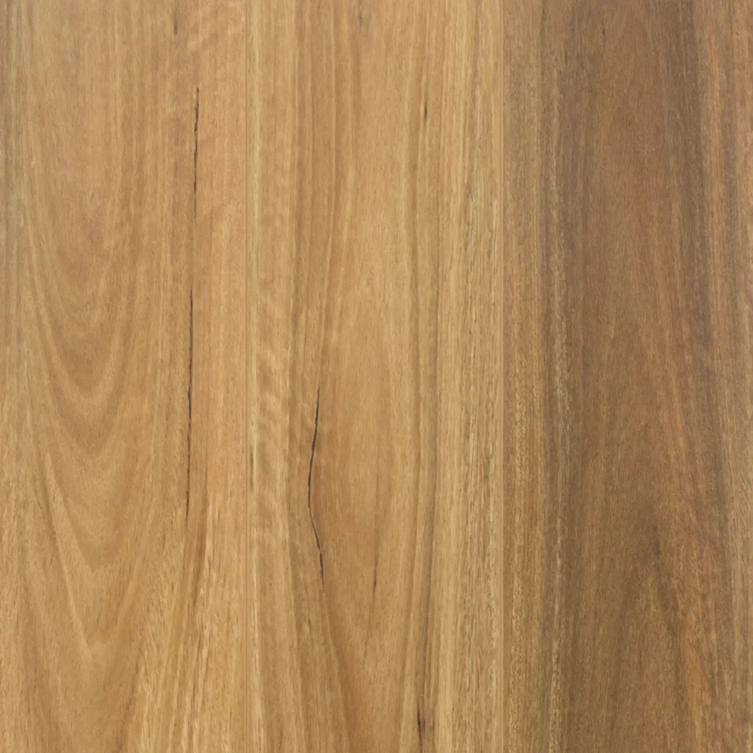 Ultimate Spotted Gum Laminate Flooring Australian Select Timbers