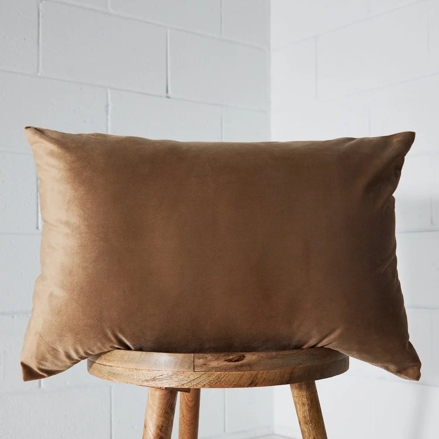 Velvet Feather Cushion Beige KAILE