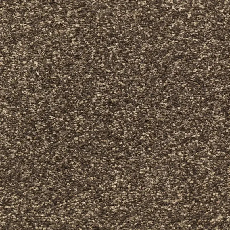 Avant Garde Carpet Signature