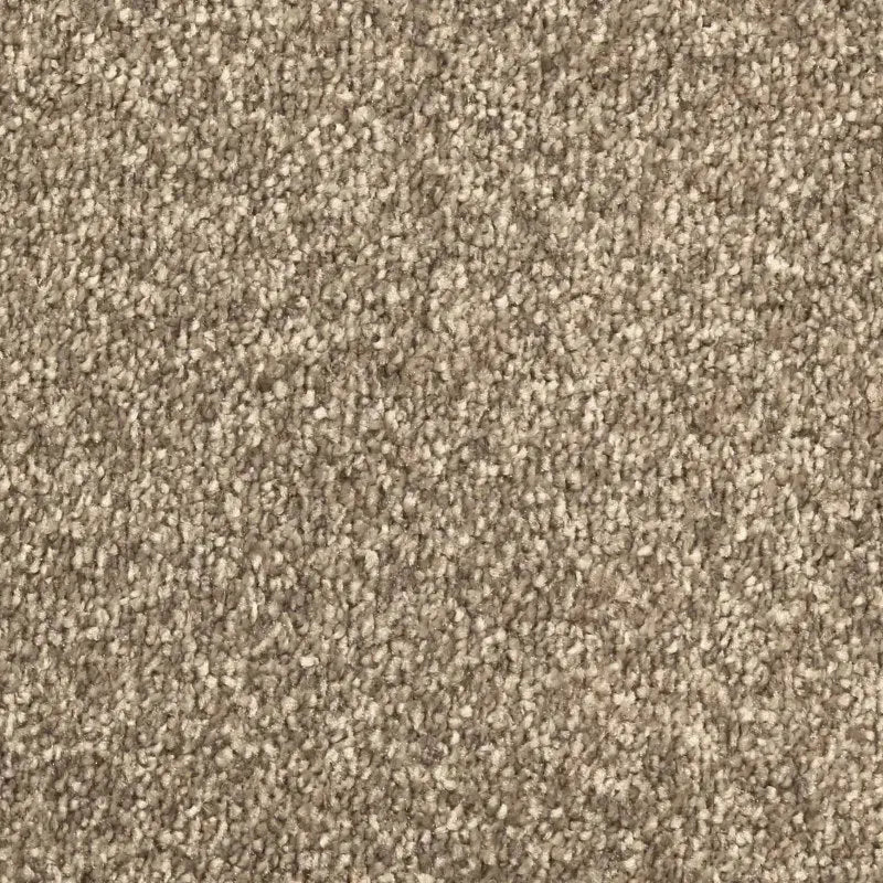 Avant Garde Carpet Signature