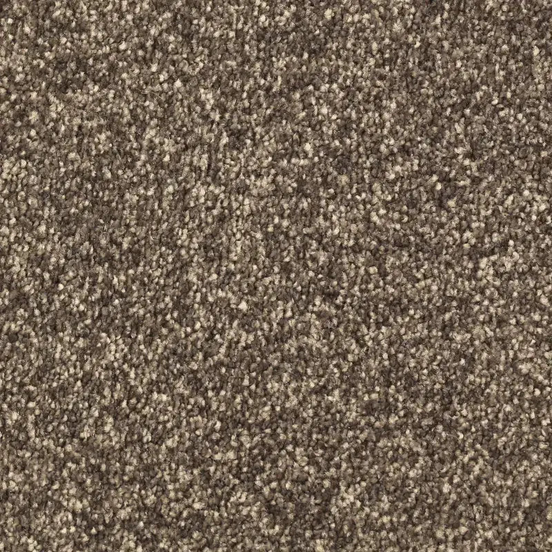 Avant Garde Carpet Signature