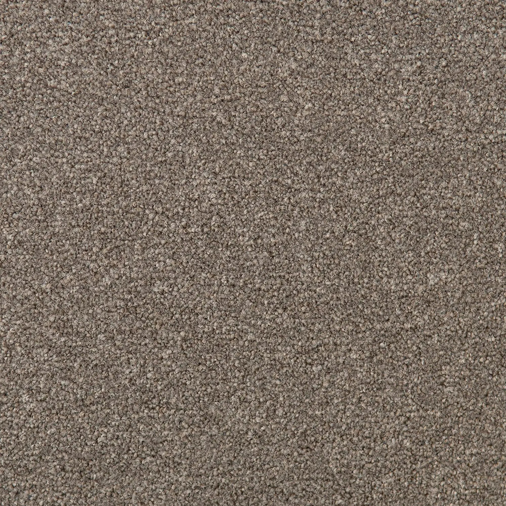 Bon Bon SDN Carpet | Solution Dyed Nylon Carpet – DecoRug