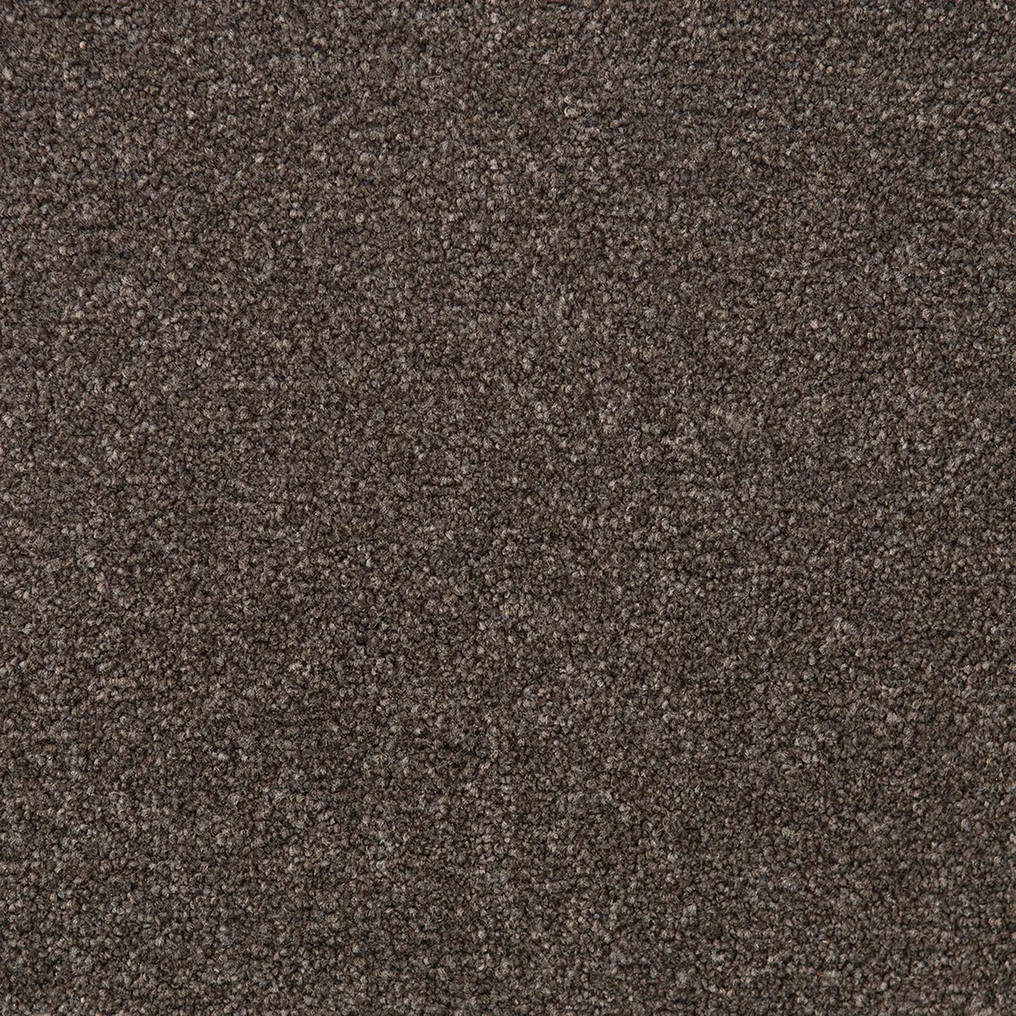 Bon Bon SDN Carpet Quest Carpets