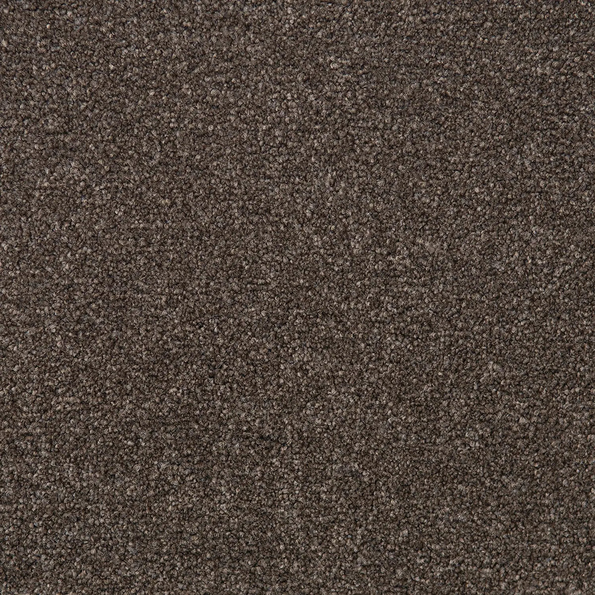 Sdn Machine Rug Bon Bon SDN Carpet | Solution Dyed Nylon Carpet – DecoRug