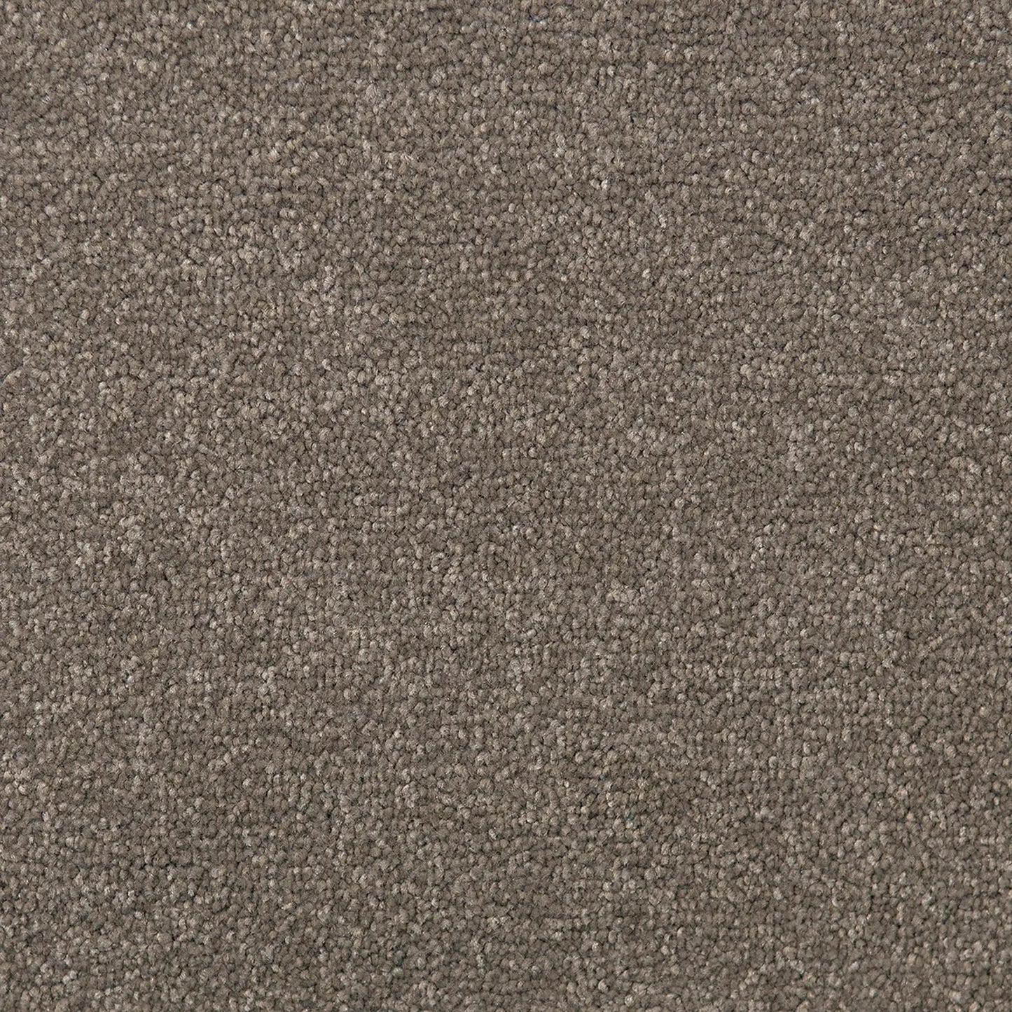 Bon Bon SDN Carpet Quest Carpets