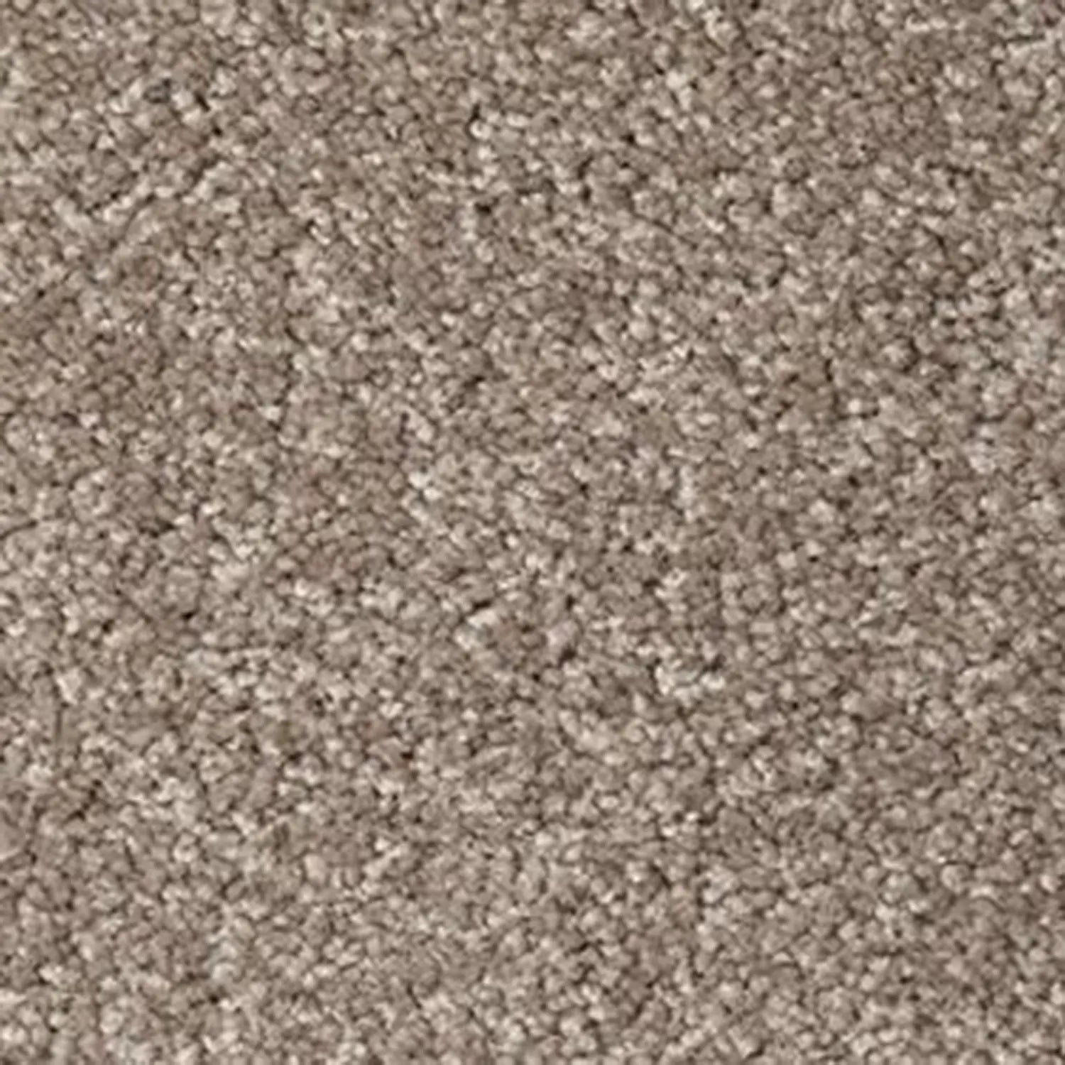 Broadwater SDN Carpet ADVANTAGE