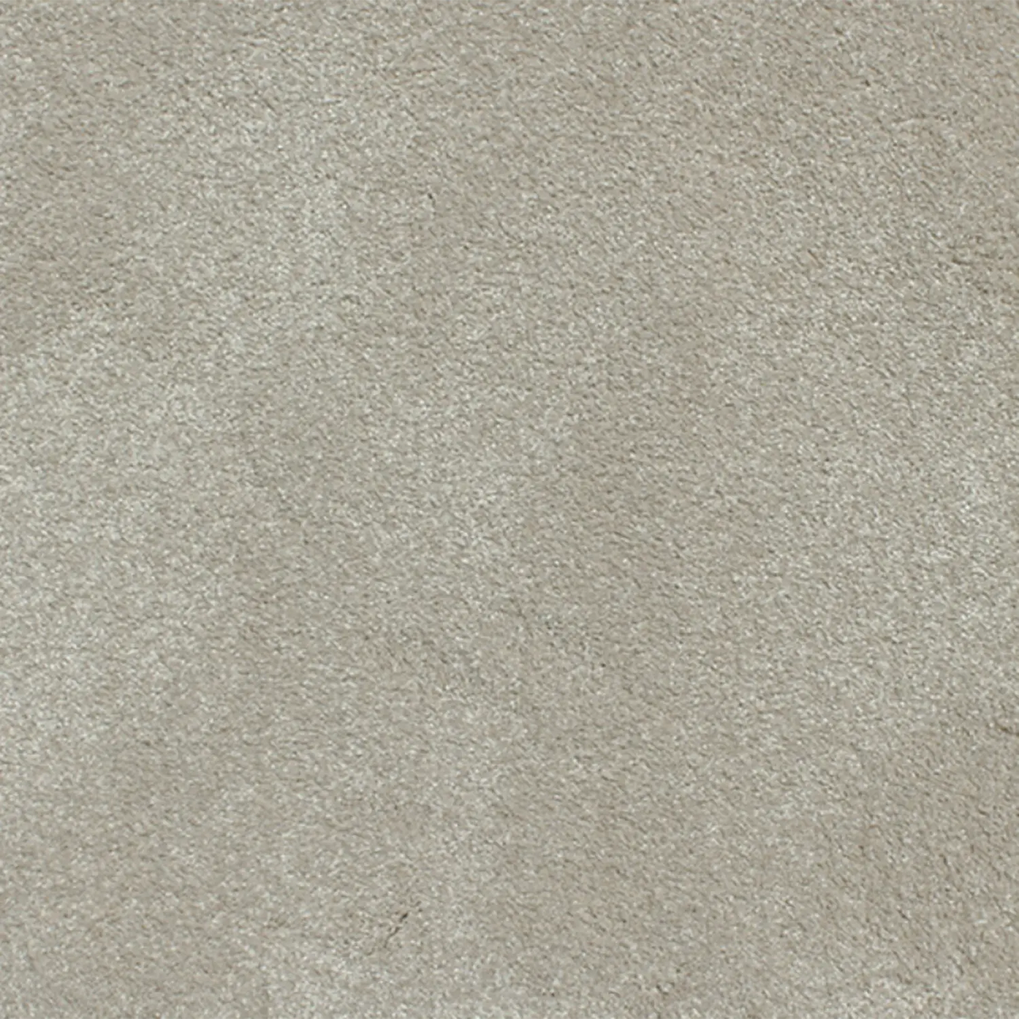 Charmeuse Carpet Signature