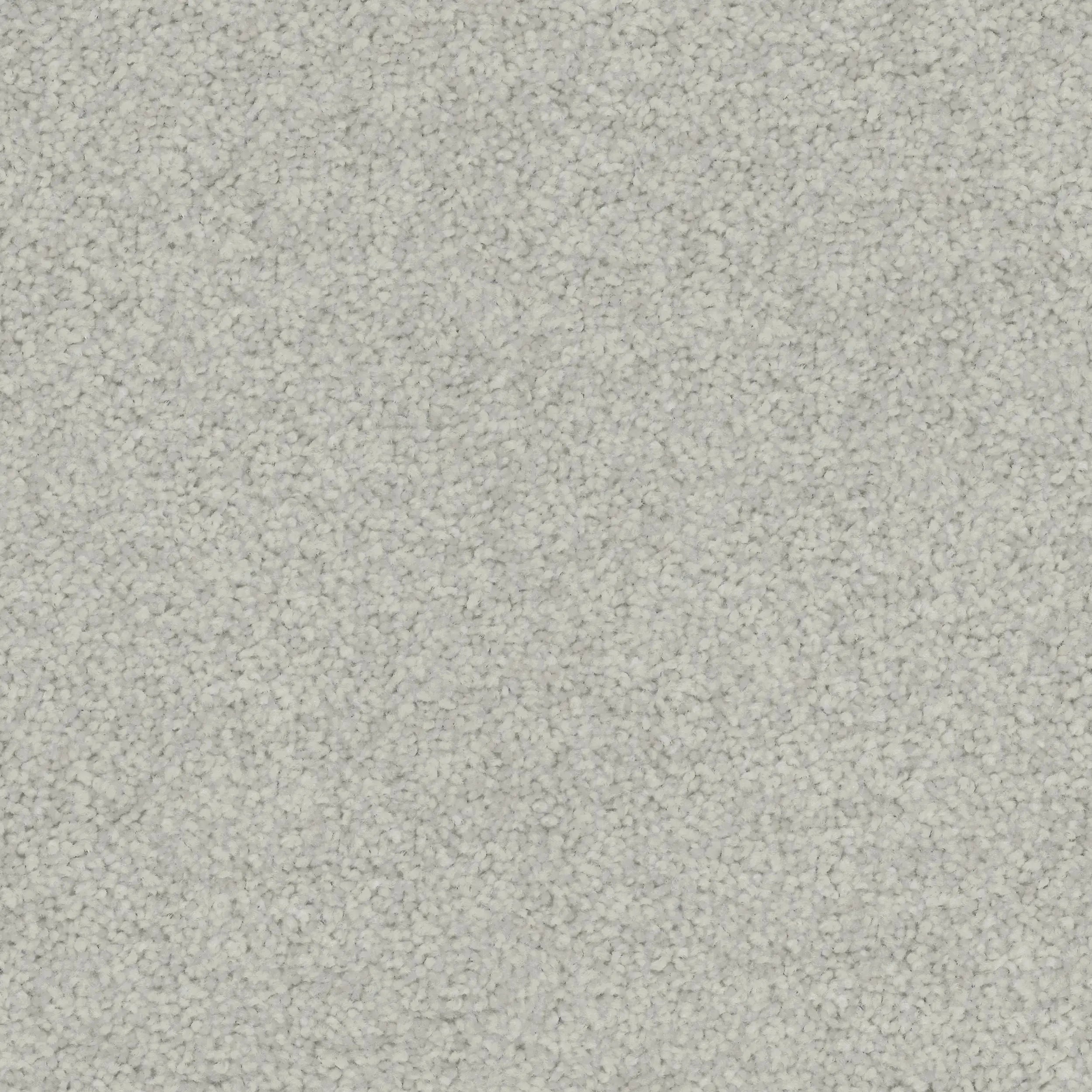 Conservatory Triexta Carpet Godfrey Hirst