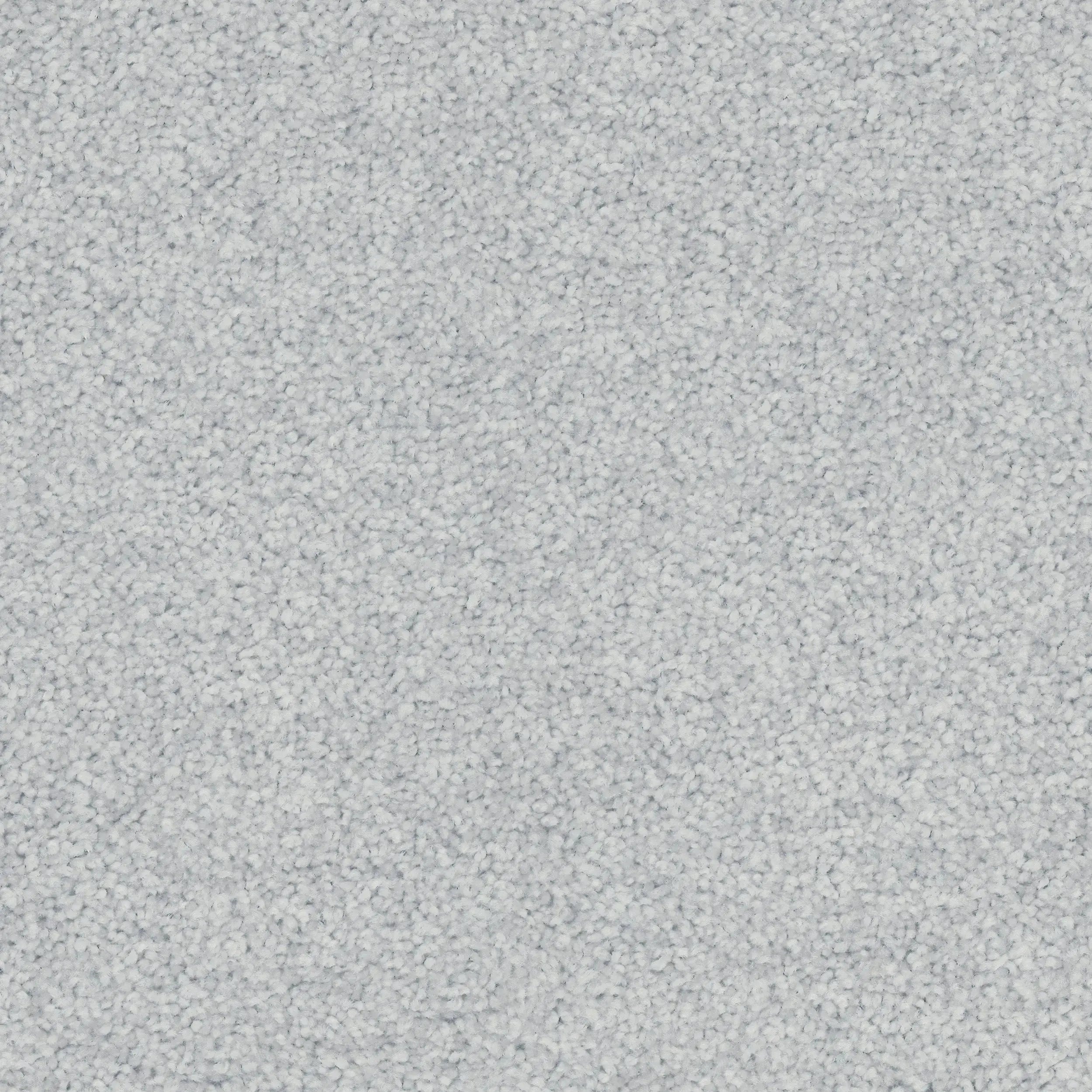 Conservatory Triexta Carpet Godfrey Hirst