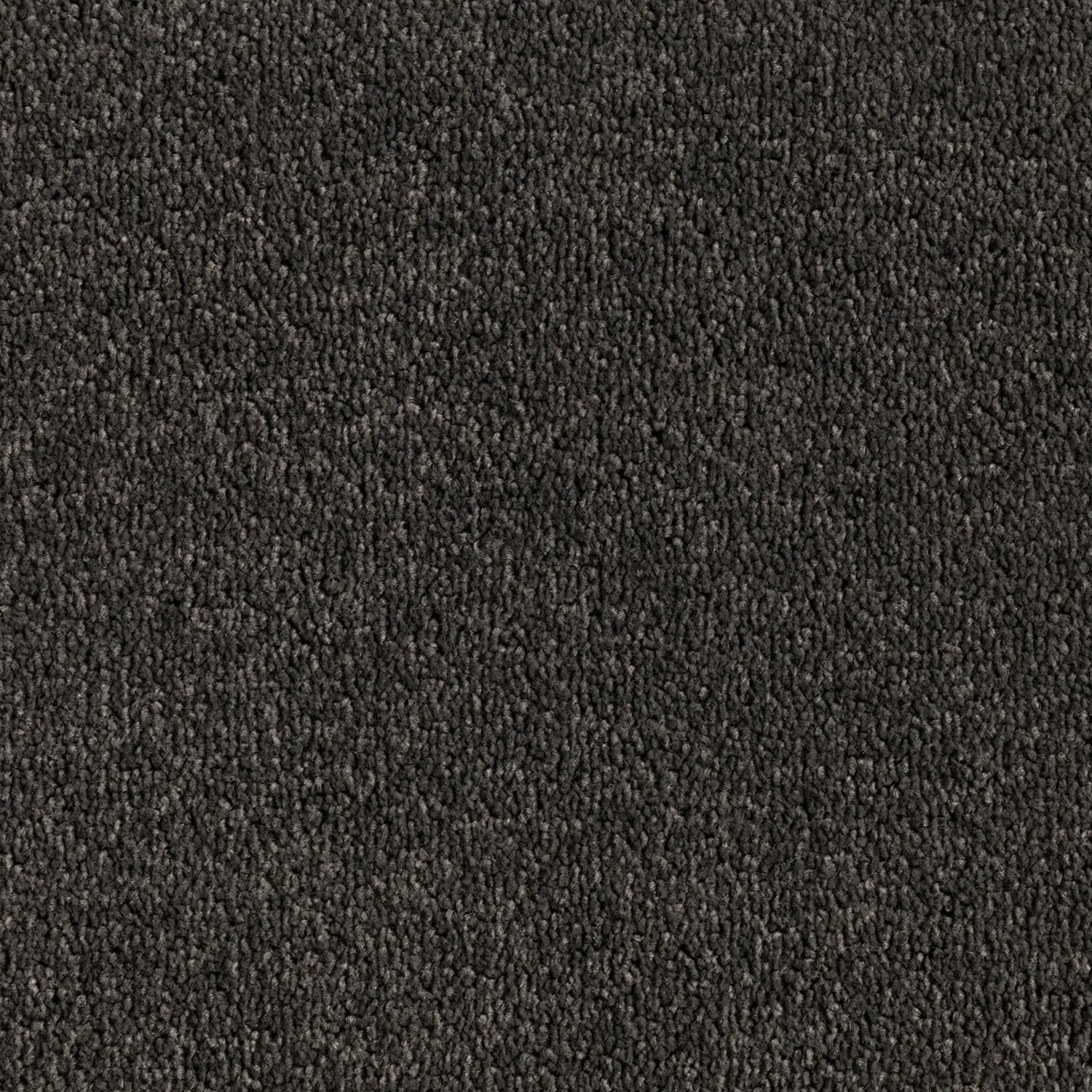 Elemental Bliss Polyester Carpet Quest Carpets