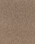 Elemental Bliss Polyester Carpet Quest Carpets