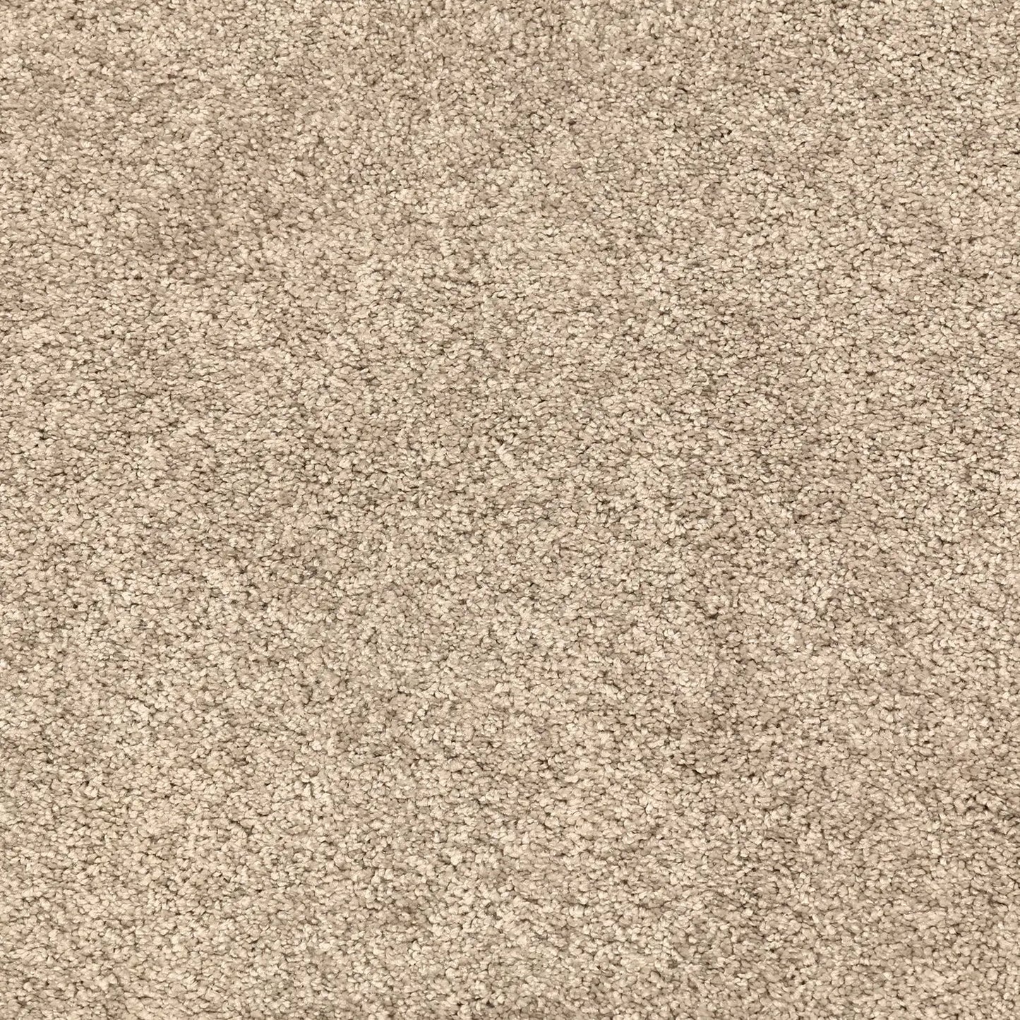 Glamour Carpet Signature