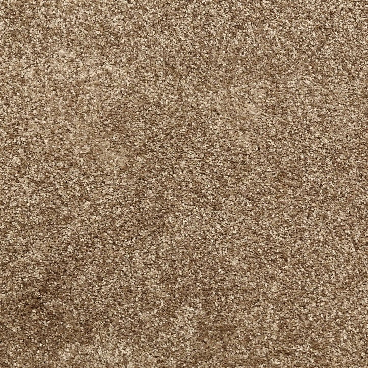 Glamour Carpet Signature