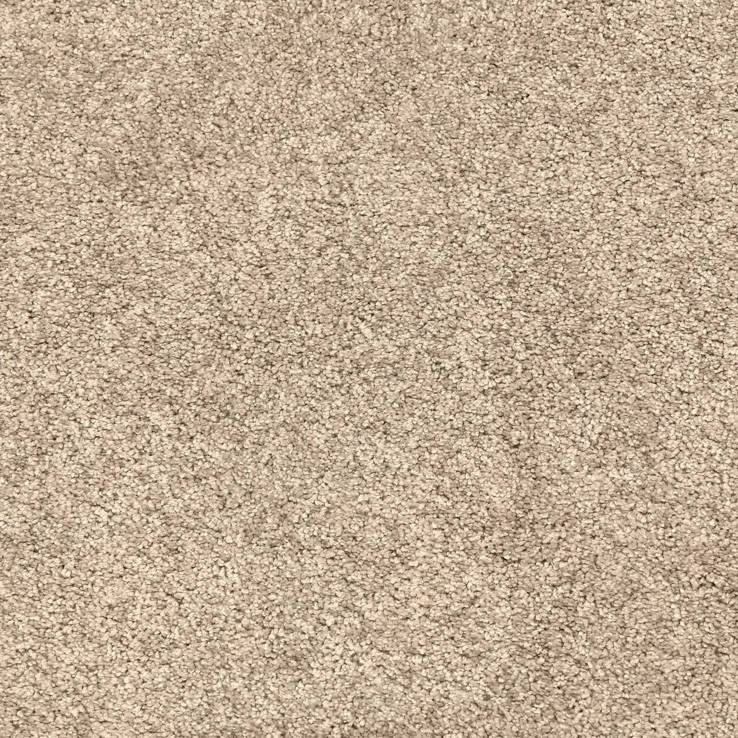 Glamour Carpet Signature