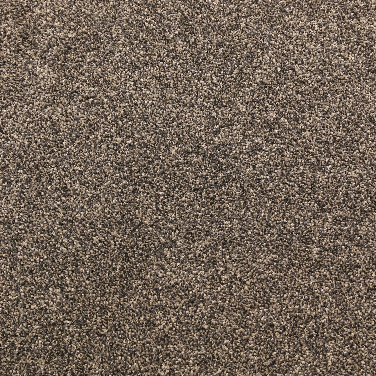 Hip Hop Carpet Solution Dyed Polyester Carpet DecoRug