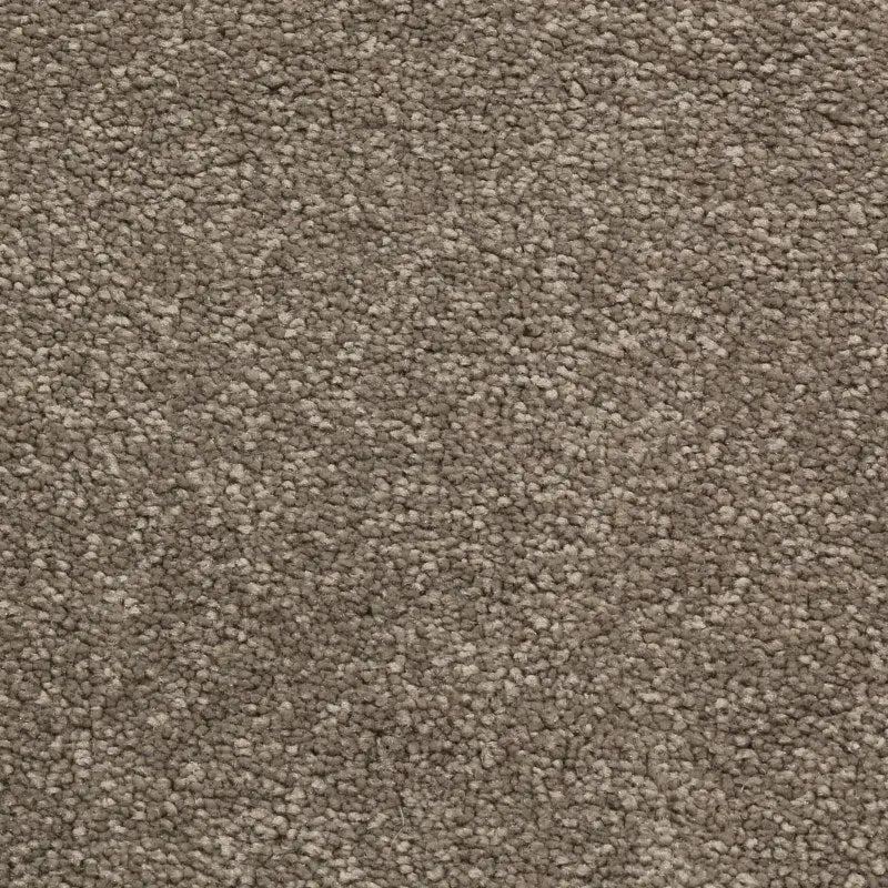 Magnolia Drive Carpet Godfrey Hirst