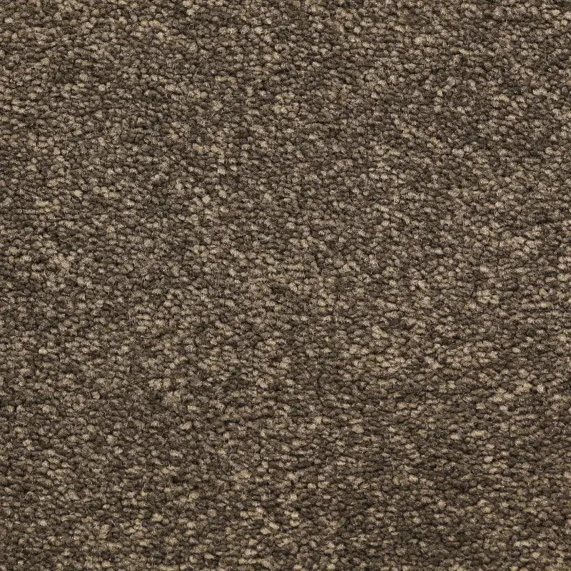 Magnolia Drive Carpet Godfrey Hirst