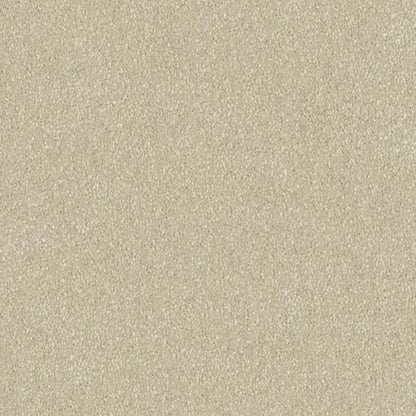 Mulberry Court Carpet Godfrey Hirst