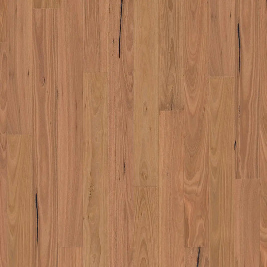 Origins Blackbutt 127mm Engineered Timber Woodline
