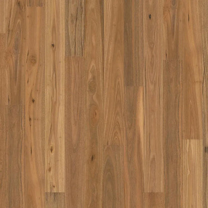 Origins Spotted Gum 180mm Engineered Timber Woodline