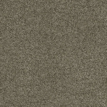 Superb Twist Carpet Godfrey Hirst