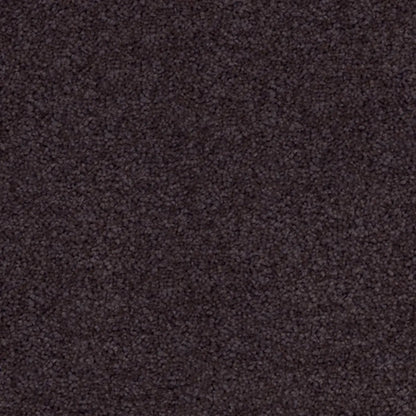 Superb Twist Carpet Godfrey Hirst