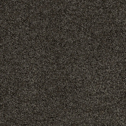 Superb Twist Carpet Godfrey Hirst